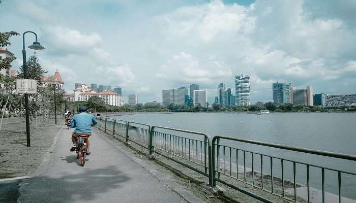 take a bike tour. 