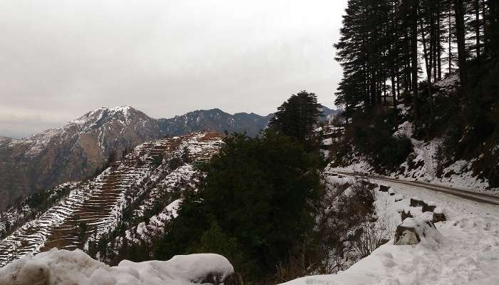 The mountains and valleys of Mussoorie, one of the most awe-inspiring honeymoon places to visit in India in July.