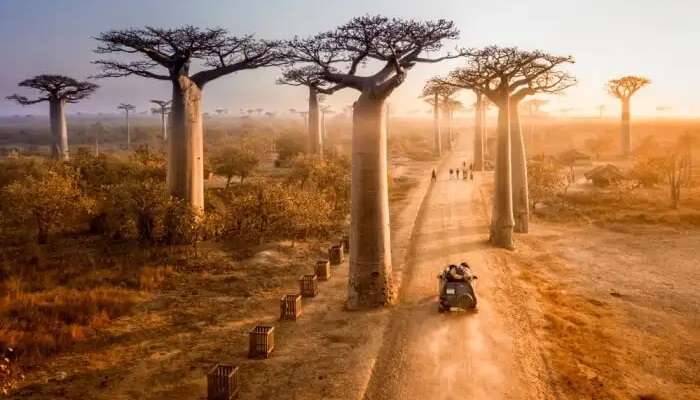Madagascar is the best place for honeymoon in October