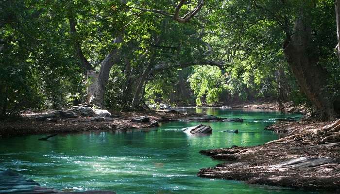 Witness the majesty of Madu river in Sri Lanka in November   