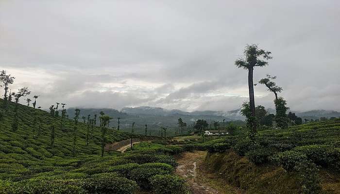 Malakkappara Hills, Kerala