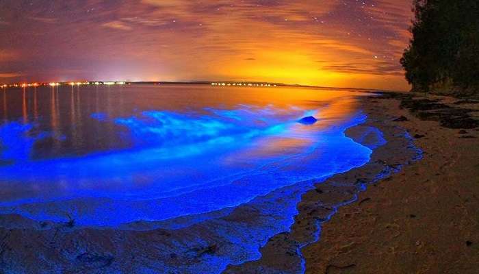 Maldives Glowing Beach