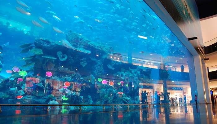 Malls, aquariums and one-of-a-kind theme parks