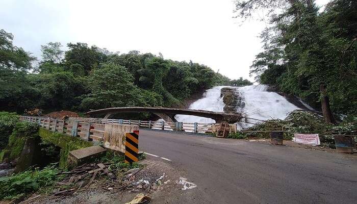 Waterfalls view from the other side of the road