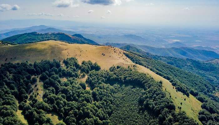 one of the best things to do in Coorg trip from Bangalore.