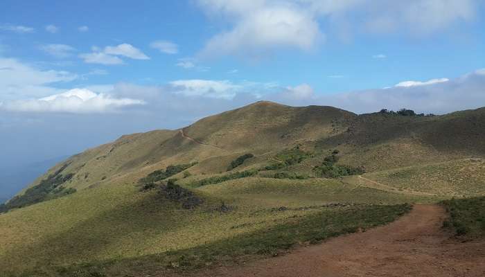 The hills of Mandalpatti are one of the best places to visit in Coorg in July