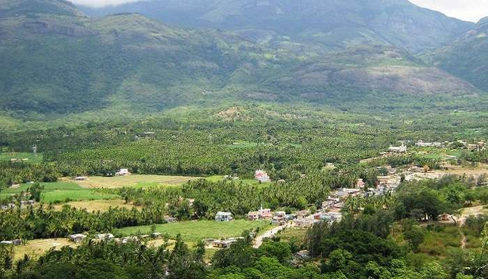 Visit Sandalwood Forests