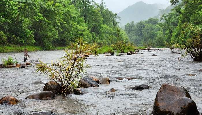 The scenic vista of Maredumilli, among the cool places to visit in summer in Andhra Pradesh.