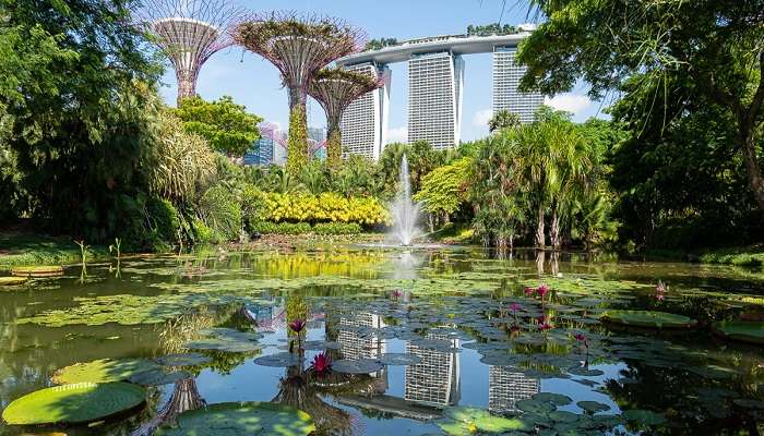 If you are visiting Singapore in february, then make a point to visit Gardens by the Bay