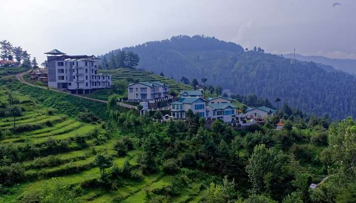 Mashobra hills in Himachal 