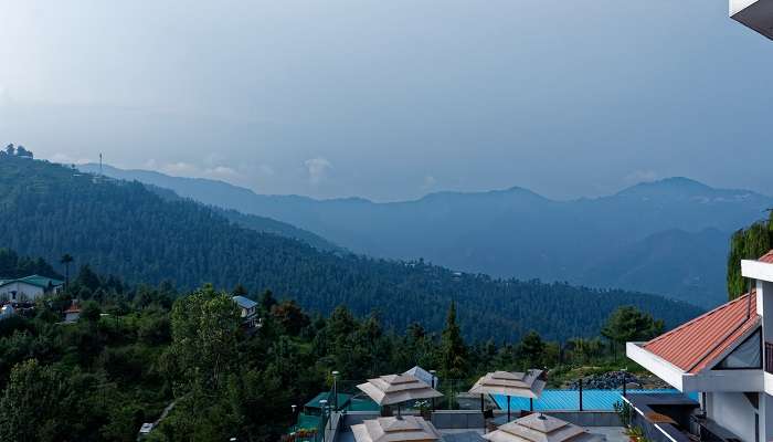 Take your adventurous soul to Mashobra, one of the best places to visit in Himachal Pradesh.