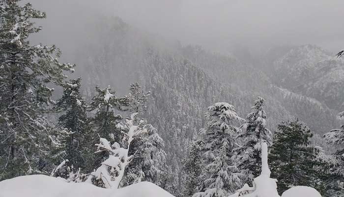 Mashobra, snowfall places in Shimla