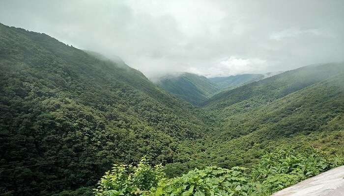 Cherranpunji to get the beautiful adventure. 
