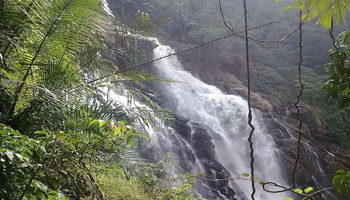 Discover the Meenmutty Waterfalls