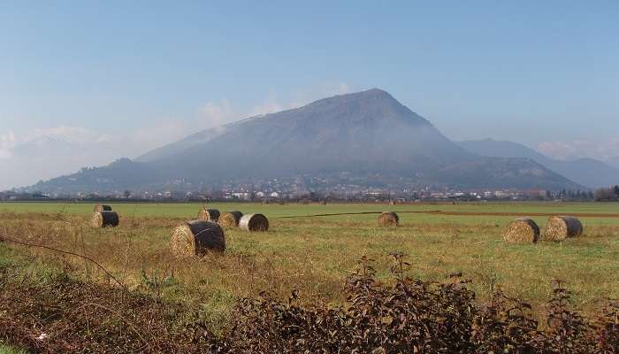 Monte San Georgio