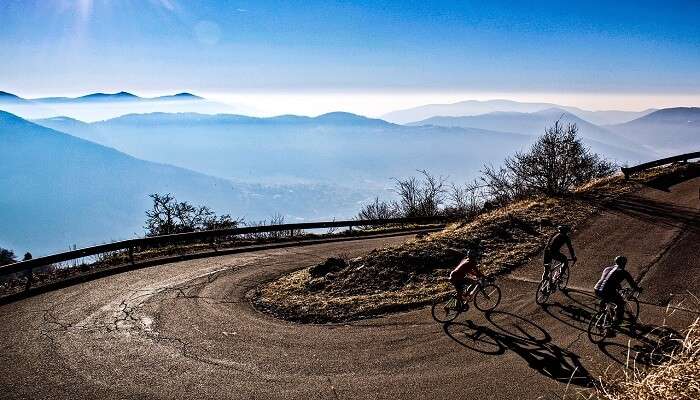 Mountain biking adventure sports in Munnar tea estate trails.