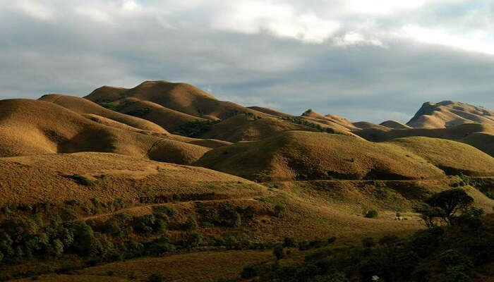 Mukurthi National Park, National Parks Near Bangalore