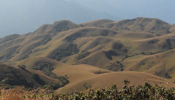 Mukurthi National Park, places to visit in ooty