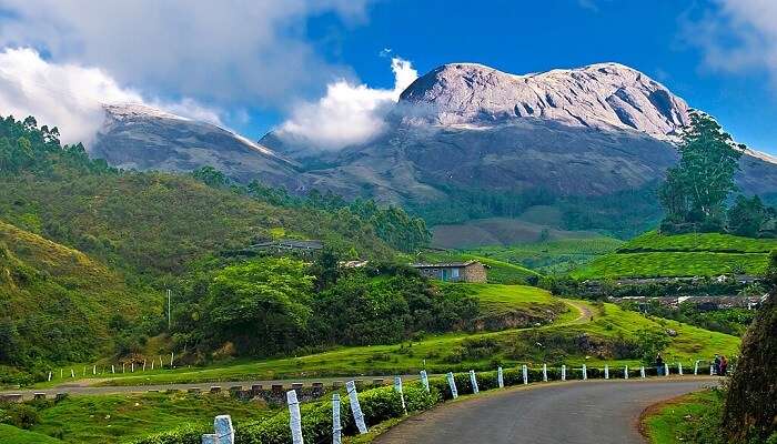 Munnar hills in Kerala are perfect for Kerala honeymoon packages.
