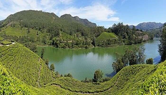 Munnar, Best Places to Visit Near Kochi