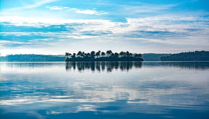 Lush greenery and backwaters of Munroe