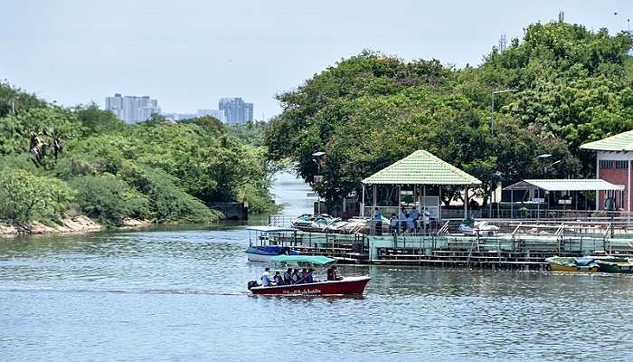 A couple boating in the Muttukadu backwaters while the sun sets, one of the most romantic things to do in Chennai