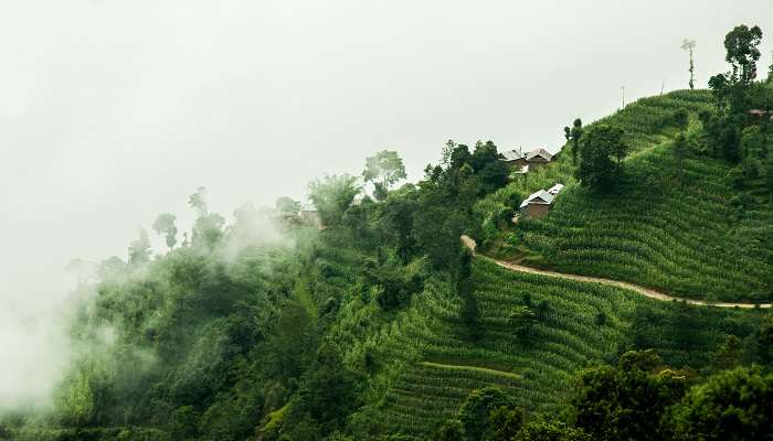 Nagarkot, hill stations in Nepal