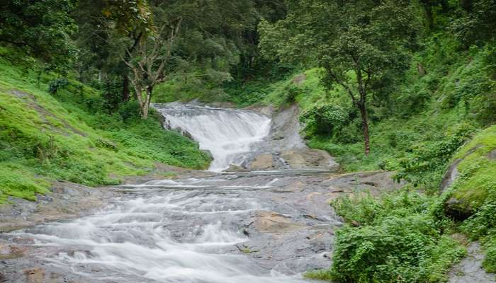 Nelliyampathy hill view