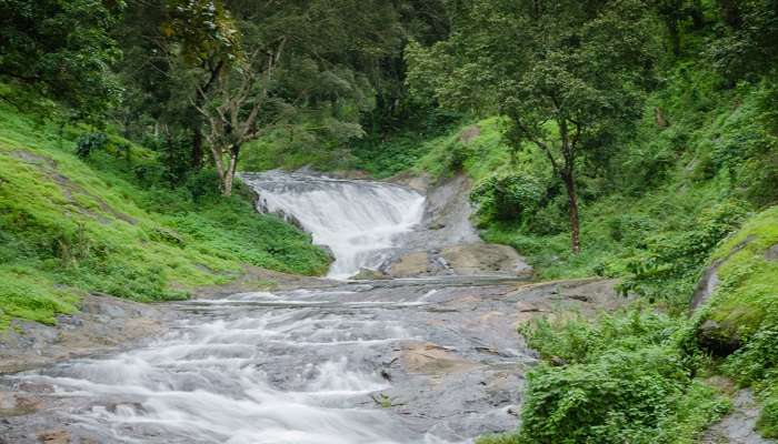 The beautiful hills on Nelliyampathy are one of the must-visit places to visit in Kerala in July.