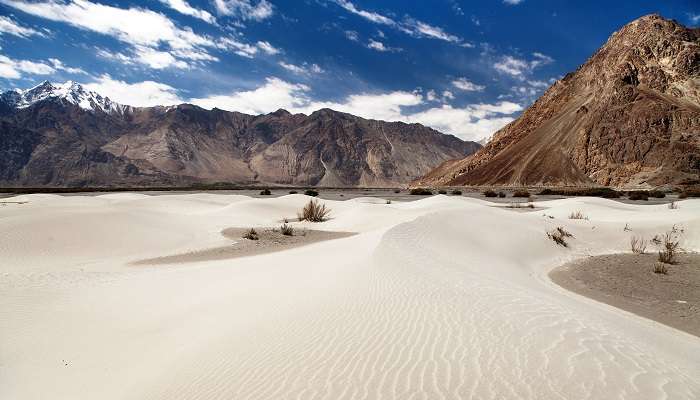 Nubra Valley