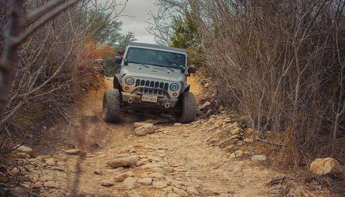 Off-road jeep safari adventure sports in Munnar's misty mountains