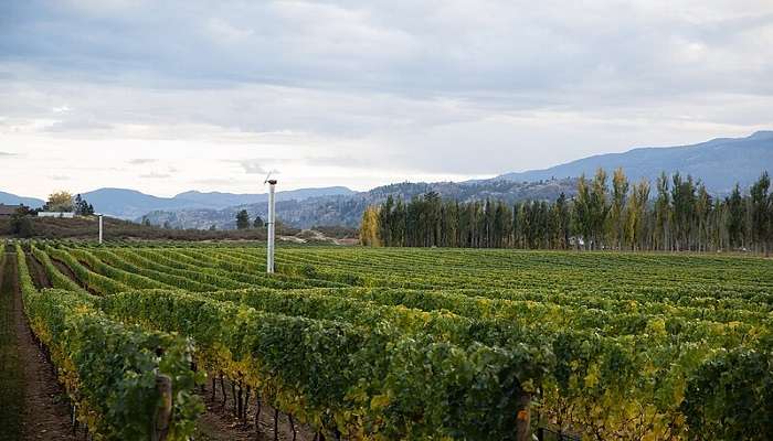 Okanagan Valley