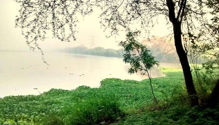 Okhla Bird Sanctuary is a bird sanctuary and one of the best tourist places in Delhi