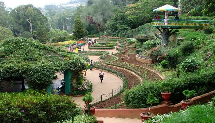 Ooty Garden View