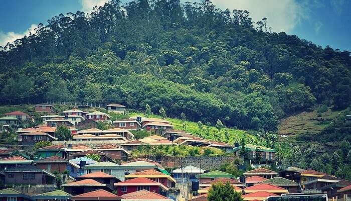 Ooty—One of the Best Places to Visit near Wayanad for a relaxing weekend