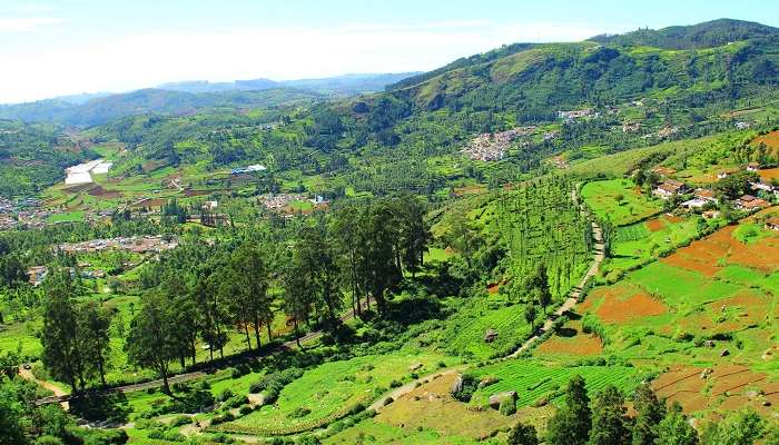 Ooty