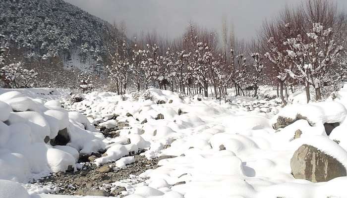 Weather Of Pahalgam In November