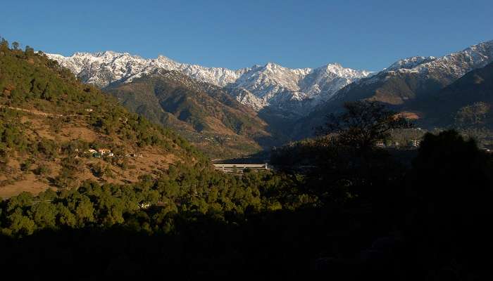 Palampur- best hill stations in Himachal