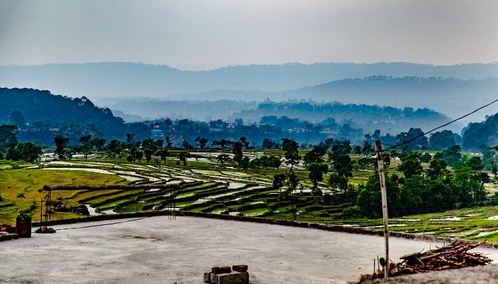 A breathtaking view of Palampur