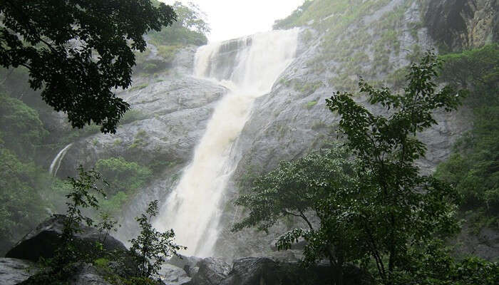 A stunning view of the gushing water in Thenmala.