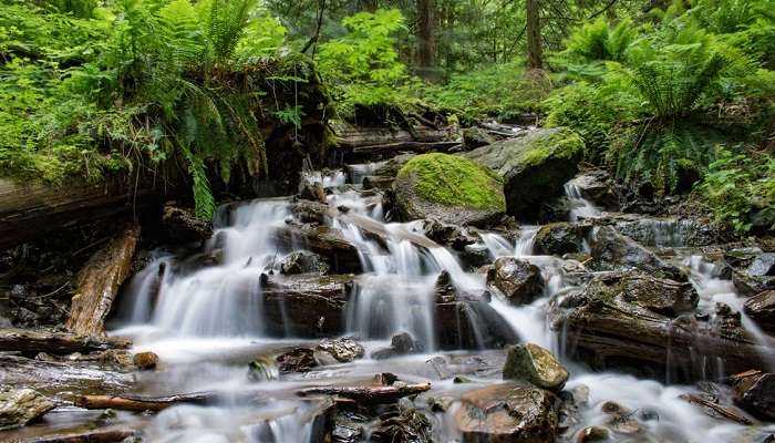 Palchuram Waterfalls, Wayanad tourist places