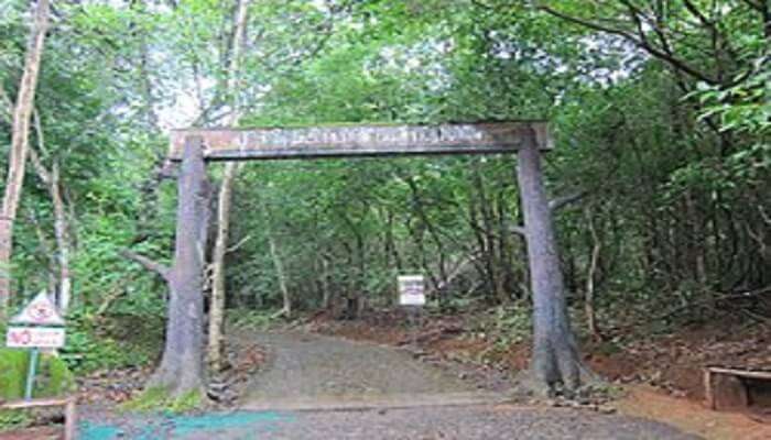 Paniyeli Poru, Best places to visit near Kochi