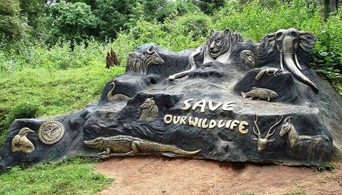 Parambikulam Wildlife Sanctuary, a biodiverse tourist place.