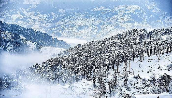 Explore the beauty of Patnitop in snow with this complete guide