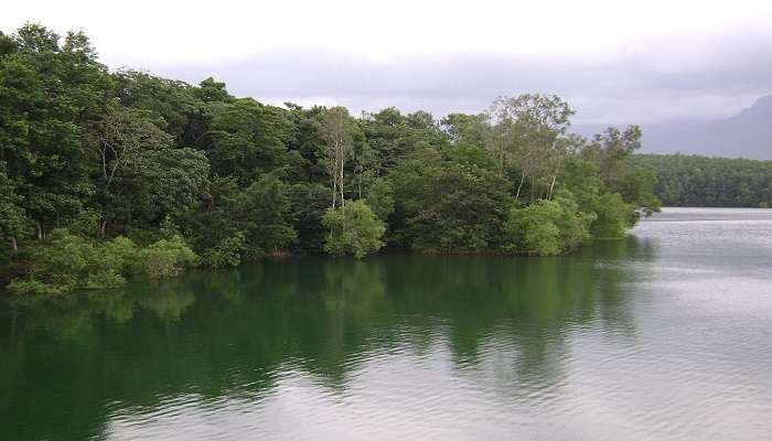 Peppara Sanctuary, Trivandrum, Kerala