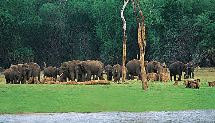 Periyar_Thekkady