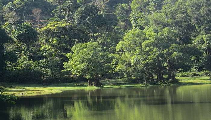 Virajpet Day Trip is one of the most relaxing things to do in Coorg, Things To Do In coorg