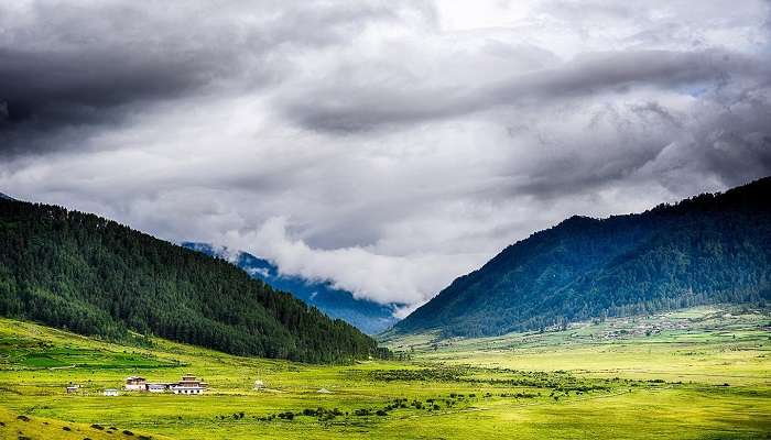 Gangtey Valley, Bhutan In March