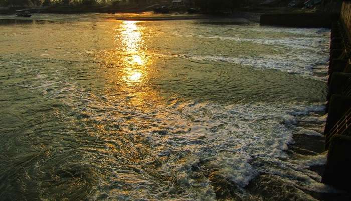 Piyali Island, picnic spots near Kolkata