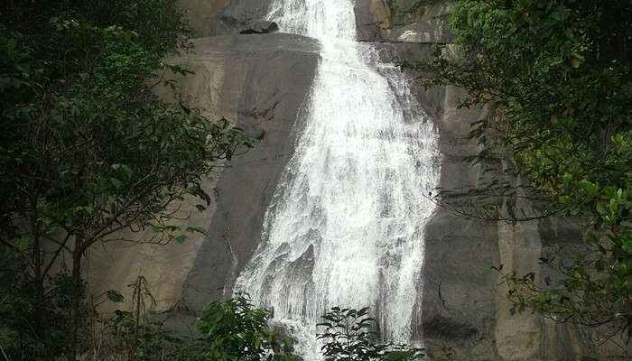 A fantastic view of Thusharagiri Waterfalls